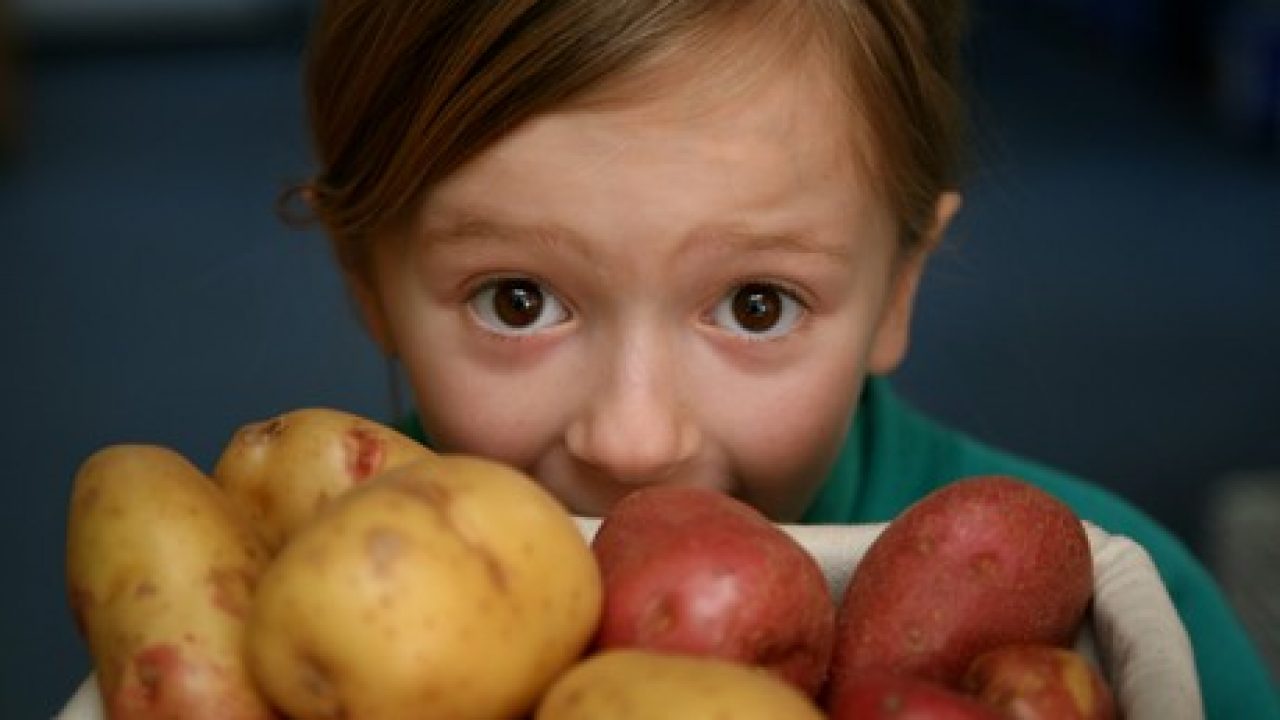 Картошка Фото Для Детей