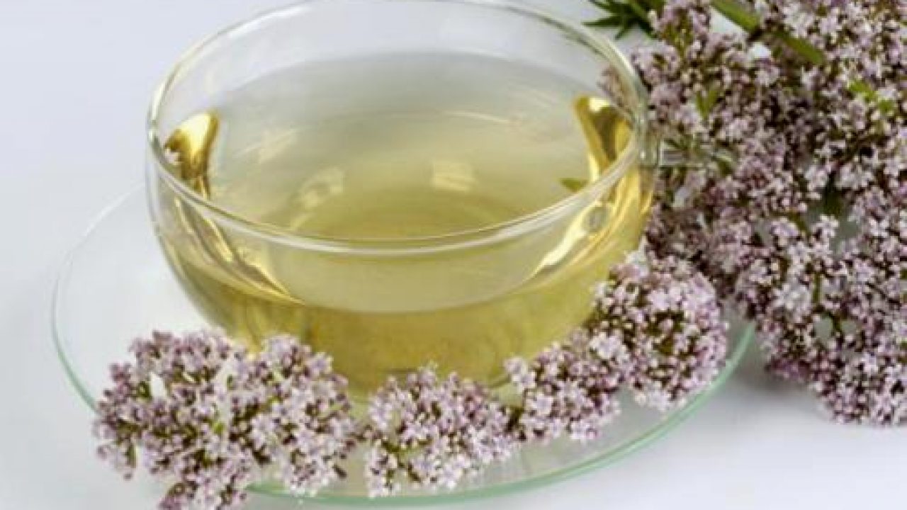 15 полезных свойств чая из валерианы (№1 от бессонницы)