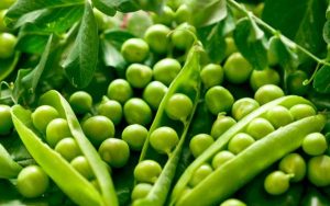 bitter green peas