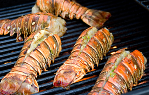lobster tail