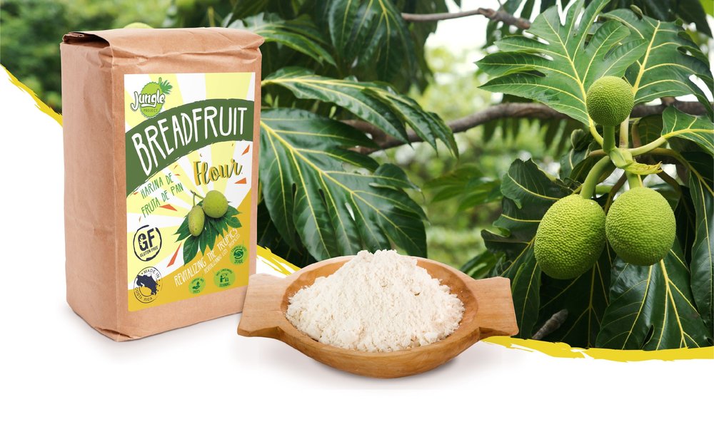 breadfruit flour