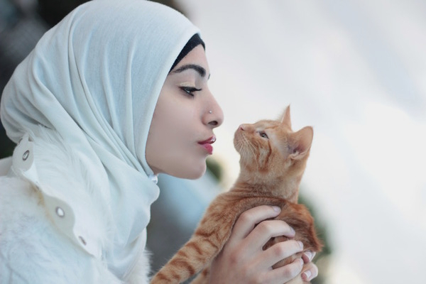 cat and islam