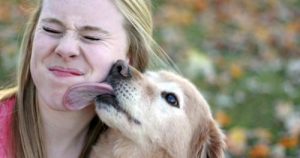 dog licking human
