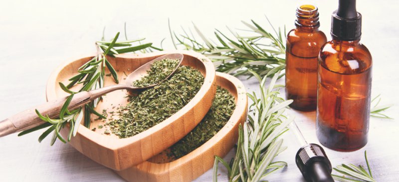 rosemary oil for respiratory system